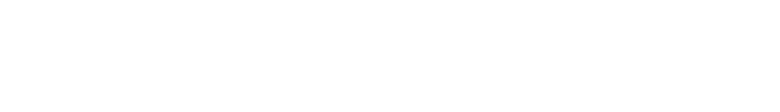 BronchoMax logotype